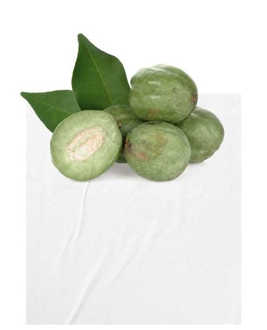 Terminalia Fernandina Fruit Extract